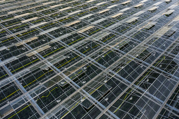 Aerial top view of greenhouse plant