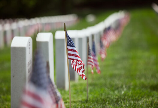 Memorial: Row of Flags At Cemetary Headstones