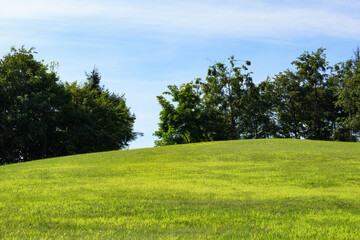 木　草　空　素材