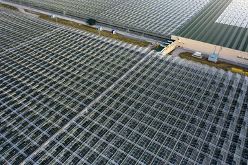 Aerial top view of greenhouse plant