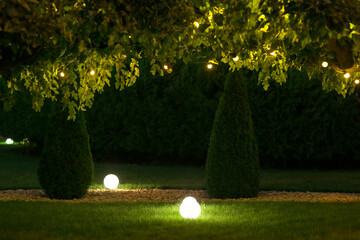 night backyard with mown lawn and trees festive decorated with garlands with light bulbs in the...