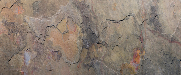closeup macro macrophotograph microphotograph colors textures patterns stone rock strata