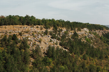 Fototapeta na wymiar Pine forest on hill. Rock formations scatter the pine forest.