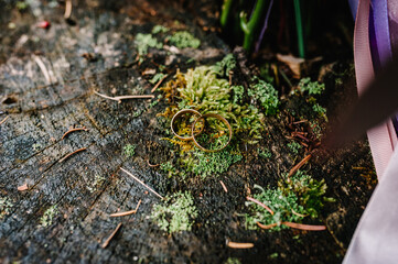 Wedding rings bride and groom lying on the wood. flat lay. top view.