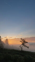 Obraz na płótnie Canvas sunrise over the forest 