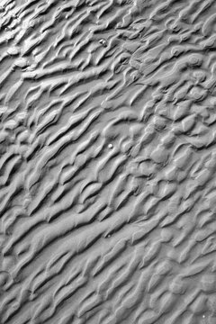 Tideland sand background