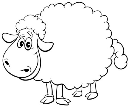 sheep farm animal character coloring book page