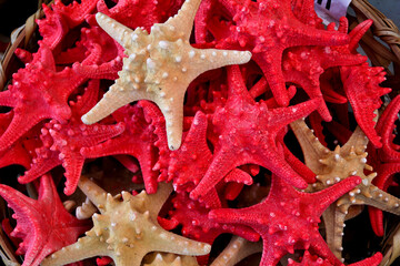 Top view of a basket full of different colored fake starfishes as souvenirs