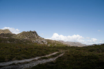 Fototapeta na wymiar Trail lines on the ground cross a green highland