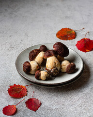 Porcini mushrooms on a gray plate, red leaves