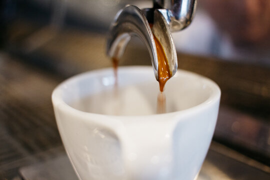 making espresso coffee drink