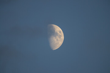 Half Moon in the Blue Evening Sky