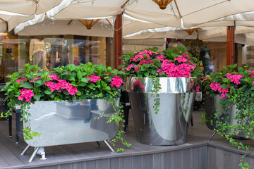Fototapeta na wymiar A bright pink hydrangea flower in a giant metal chrome flowerpot. Street decoration, fresh flowers in pots. Blossom hydrangea in pink magenta color. Background backdrop decoration for design