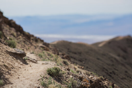 Tilt shift shot of a hiking trail