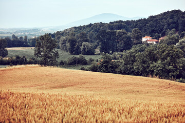 Landscape of countryside village terrain in Serbia, Balkans, Europe.