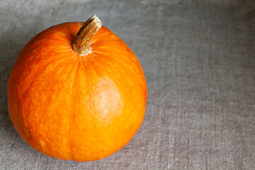 Orange pumpkin on the table is covered with burlap cloth