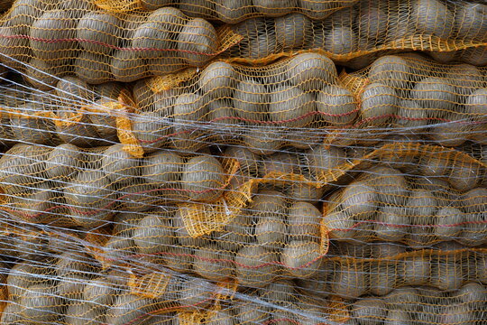 Potatoes in nets