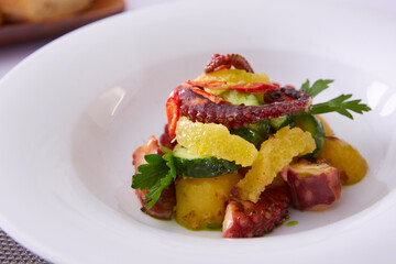 Whole octopus salad with orange and cress salad on white plate. Shallow dof