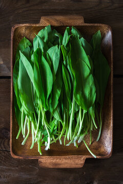 Freshly picked wild garlic in wooden plate