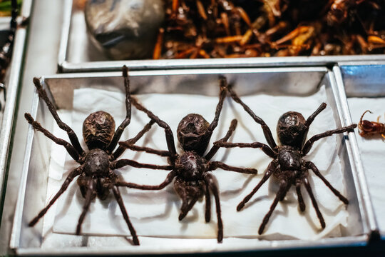 Fried Spiders. Street food in Thailand.