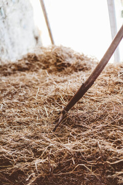 Pitchfork in the Hay