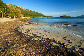 Obraz premium Playa de Formentor.Pollença. Peninsula de Formentor.Mallorca.Baleares.España.