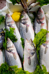 Catch of the day, fresh fish and sea food on ice in fish restaurant in Terracina, Italy