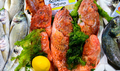 Catch of the day, fresh fish and sea food on ice in fish restaurant in Terracina, Italy