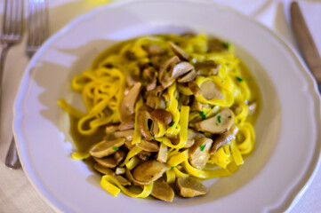 Tasty homemade tagliatelle pasta with fresh harvested boletus porcini mushrooms in creamy sauce