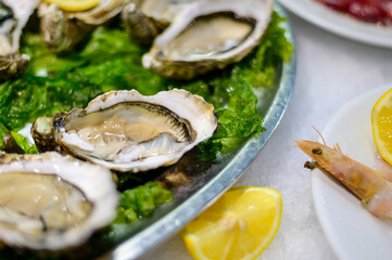 Catch of the day, fresh oysters and sea food on ice in fish restaurant in Terracina, Italy