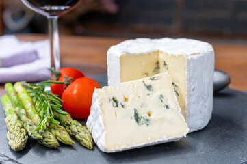 French cheeses collection, piece of Le Bleu cow milk soft blue cheese with white mold.