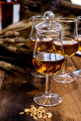 Tasting glasses with aged Scotch whisky or bourbon on old dark wooden vintage table with barley grains