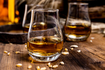 Speyside scotch whisky tasting on old dark wooden vintage table with barley grains