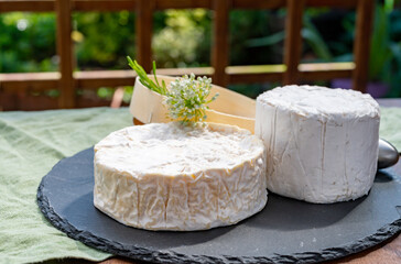 French cheeses collection, pieces of camembert and Le Bleu cow milk blue cheese with white mold.