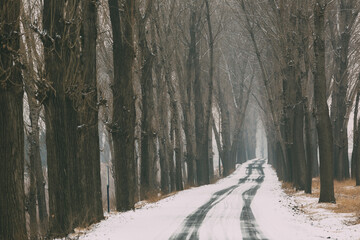 Country road with snow