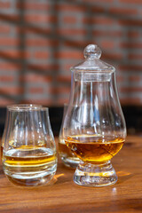 Tasting of Scotch whisky in traditional old house with shadow from British windows