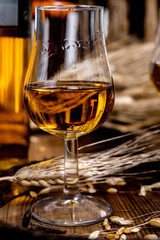 Tasting glasses with aged Scotch whisky or bourbon on old dark wooden vintage table with barley grains