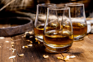 Speyside scotch whisky tasting on old dark wooden vintage table with barley grains