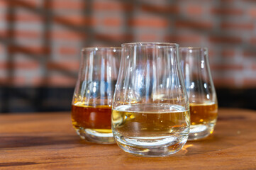 Tasting of Scotch whisky in traditional old house with shadow from British windows