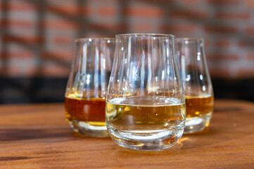 Tasting of Scotch whisky in traditional old house with shadow from British windows