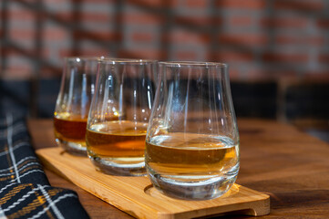 Tasting of Scotch whisky in traditional old house with shadow from British windows