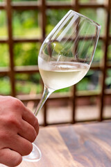 Summer tasting of cold white wine on sunny garden terrace with wooden pergola