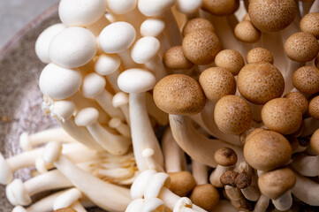 Fresh buna brown and bunapi white shimeji edible mushrooms from Asia, rich in umami tasting compounds such as guanylic and glutamic acid