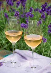 Love Provence, romantic picnic with glasses of cold French rose wine and purple lavender flowers in sunny summer garden