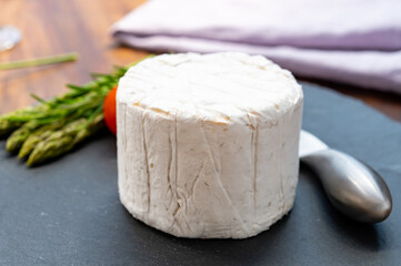 French cheeses collection, piece of Le Bleu cow milk soft blue cheese with white mold.