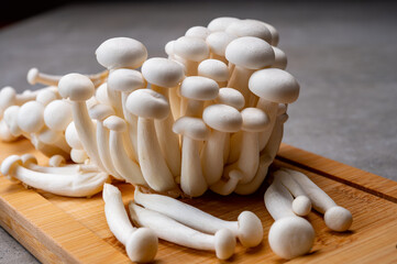 Fresh bunapi white shimeji edible mushrooms from Asia, rich in umami tasting compounds such as guanylic and glutamic acid