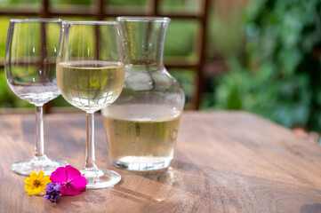 Summer tasting of cold white wine on sunny garden terrace with wooden pergola