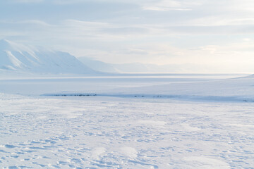 Svalbard winter - idyllic arctic scenery - 375857822