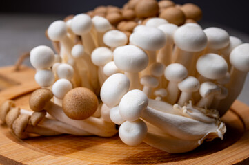 Fresh buna brown and bunapi white shimeji edible mushrooms from Asia, rich in umami tasting compounds such as guanylic and glutamic acid