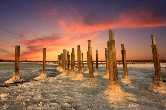 wooden pillars in dead salt sea